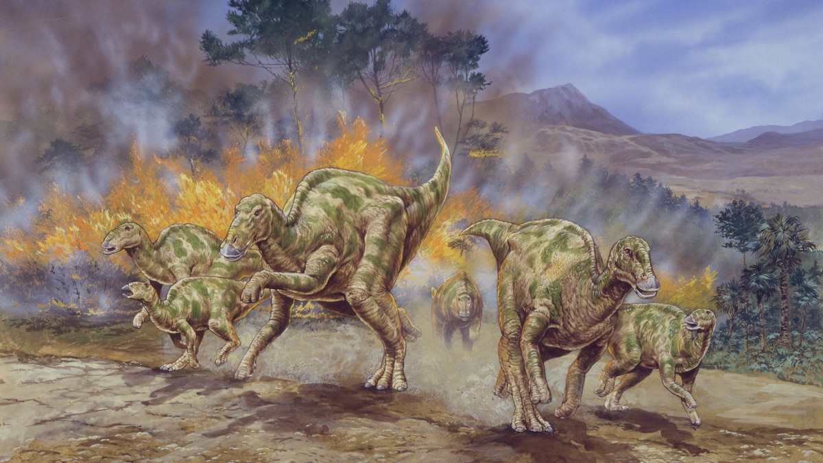 Unearthed Fossils Unveil Dramatic Dinosaur Demise