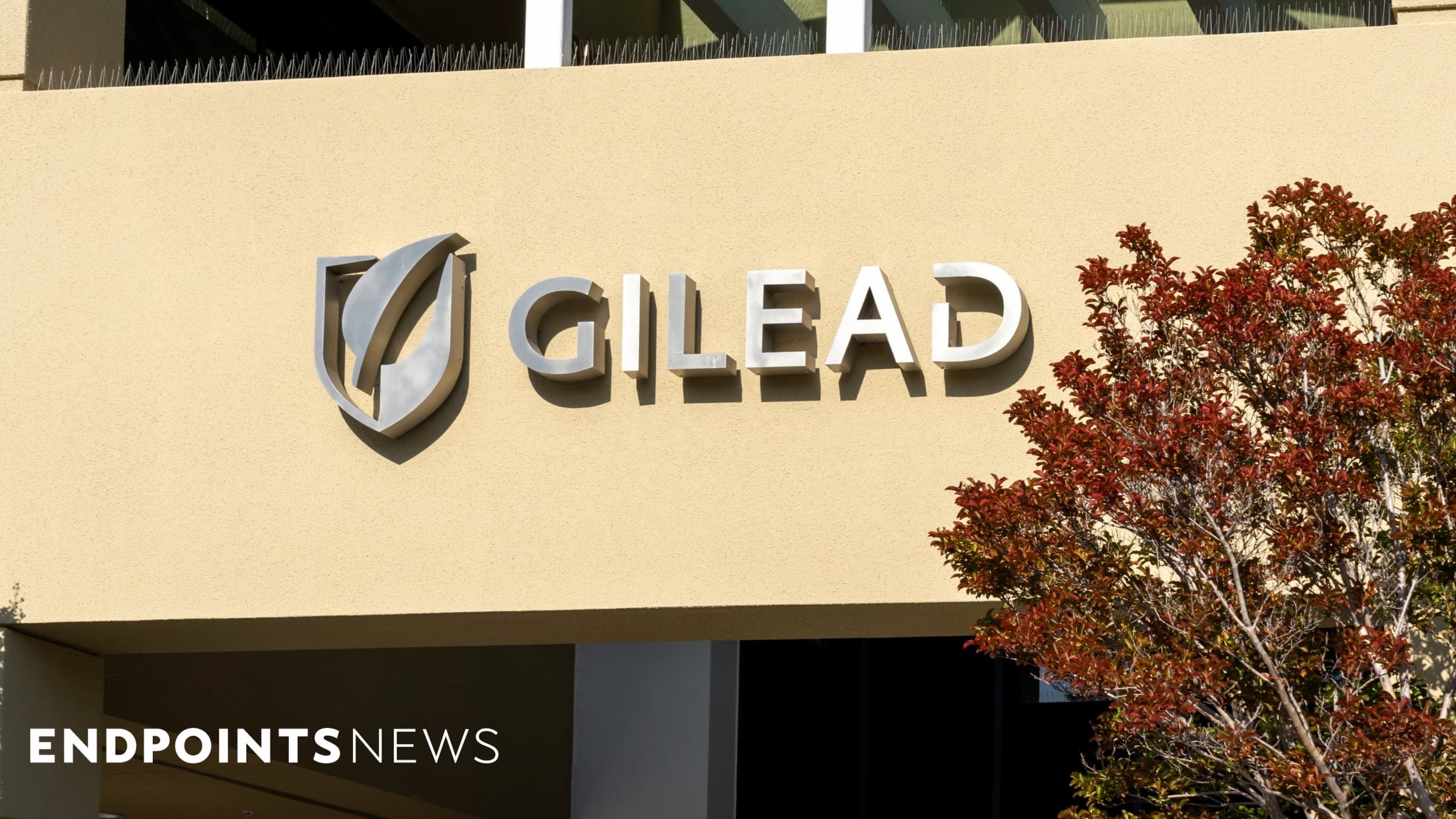 Featured image for Gilead's Trodelvy Fails Key Bladder Cancer Trial