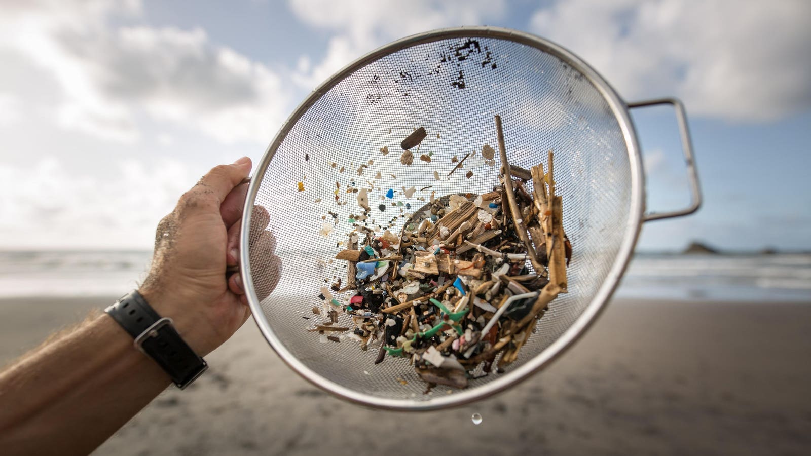 Microplastics Found in Human Testicles Worldwide, Study Reveals