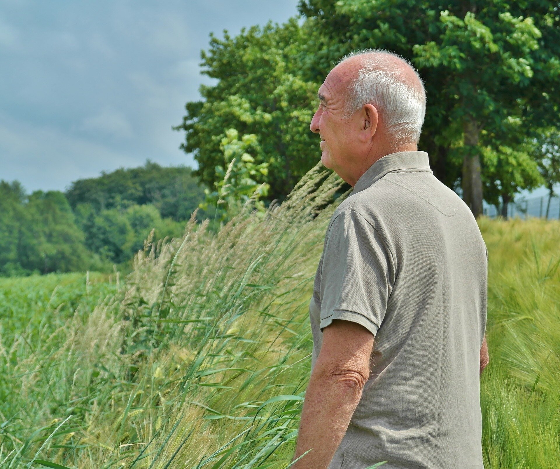 The Impact of Physical Activity on Older Adults' Quality of Life