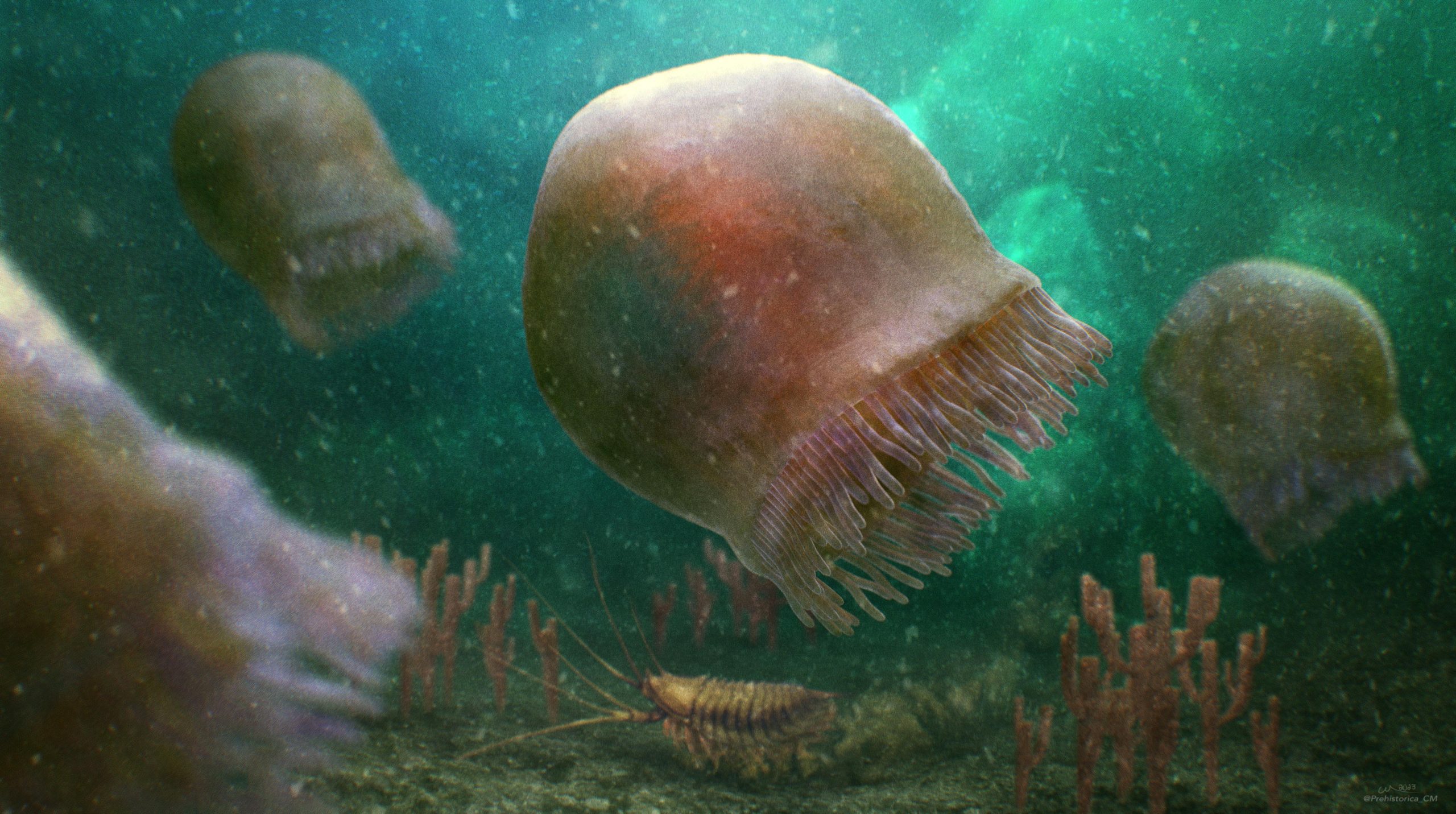 Featured image for Ancient Jellyfish Unearthed: Oldest Swimmer Ever Found