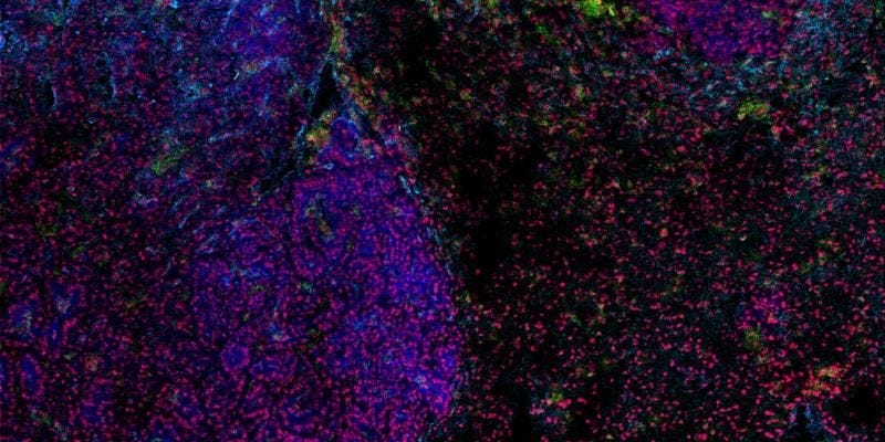 Featured image for Ancient Viruses in Human DNA Could Hold the Key to Fighting Cancer