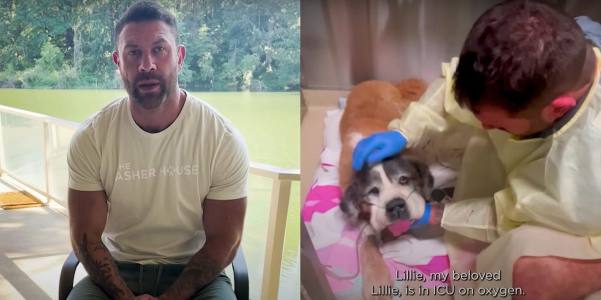 "TikTok Dog Rescuer's Farm Struggles with Pneumonia Outbreak"