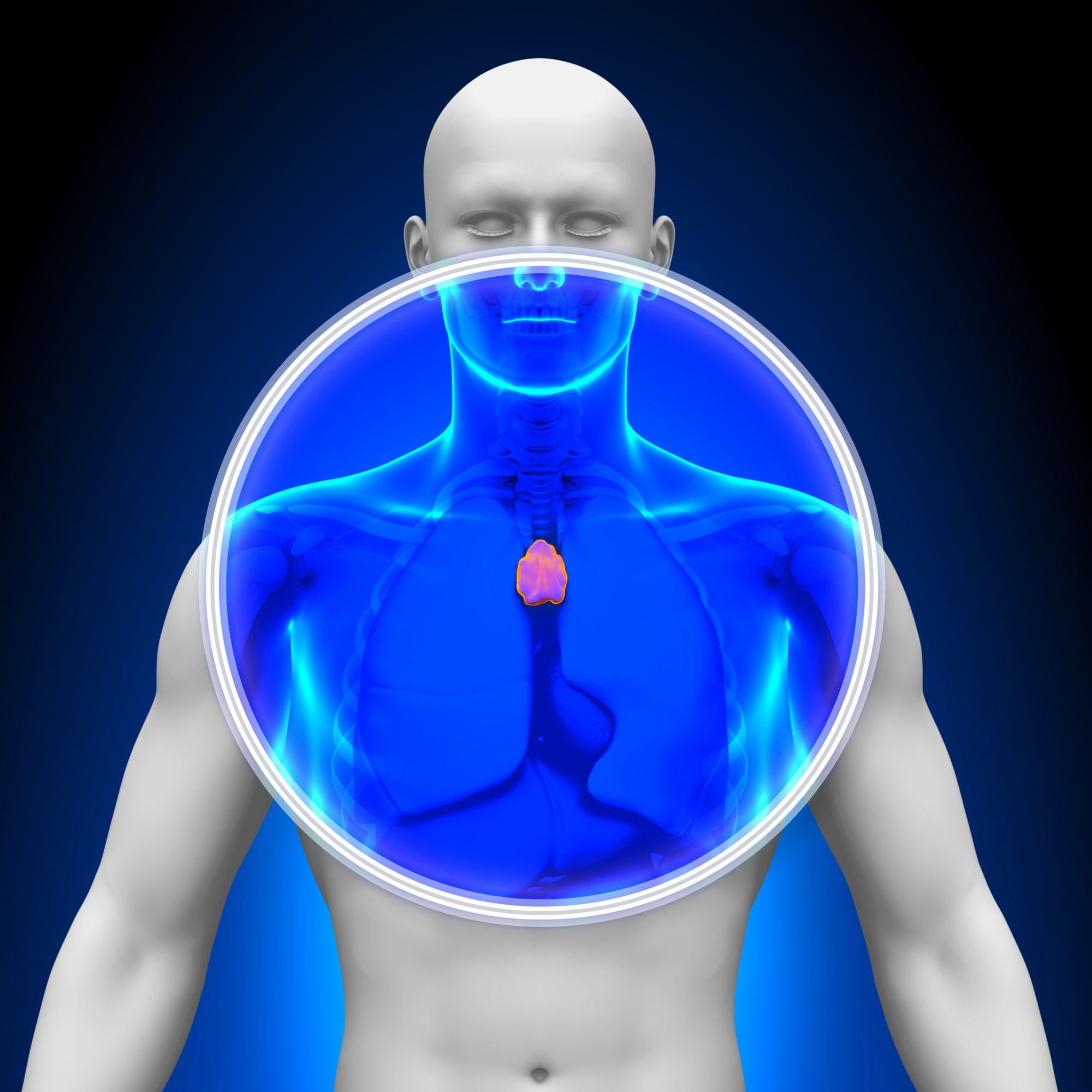 Featured image for "The Lifesaving Power of Your Thymus: Beyond a Disposable Organ"