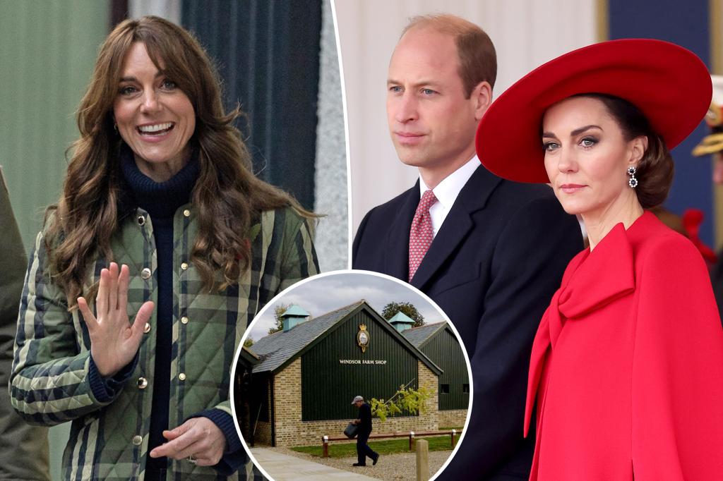 "Speculation Surrounding Kate Middleton's Health Intensifies After Reported Shop Visit with Prince William"