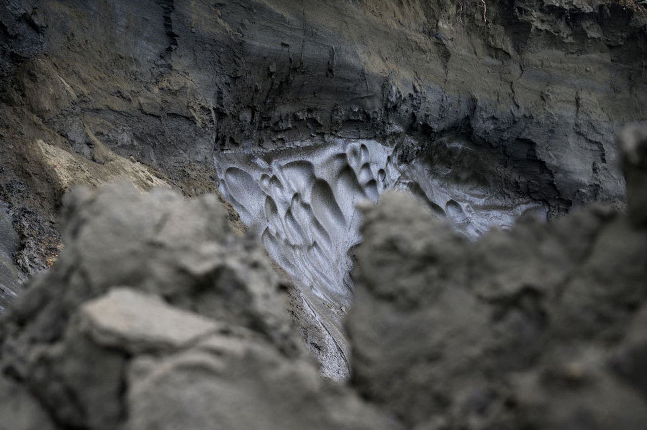 "Climate Change Threat: Scientists Warn of Potential Zombie Virus Pandemic from Thawing Permafrost"