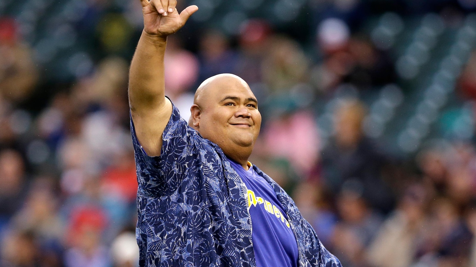 Featured image for 'Hawaii Five-0' Star and UFC Fighter Taylor Wily Dies at 56