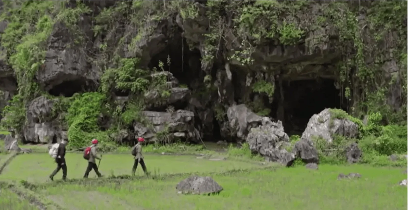 Indonesia Hand Stencil Dates to 67,800 Years, Oldest Rock Art