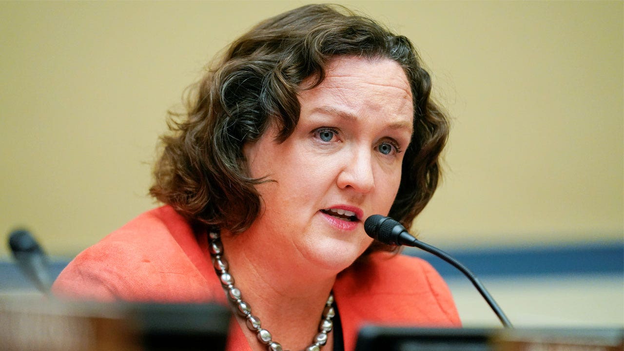 "Katie Porter Denies Domestic Abuse Allegations Amidst Ex-Husband's Claims of Potato Scalding Incident"
