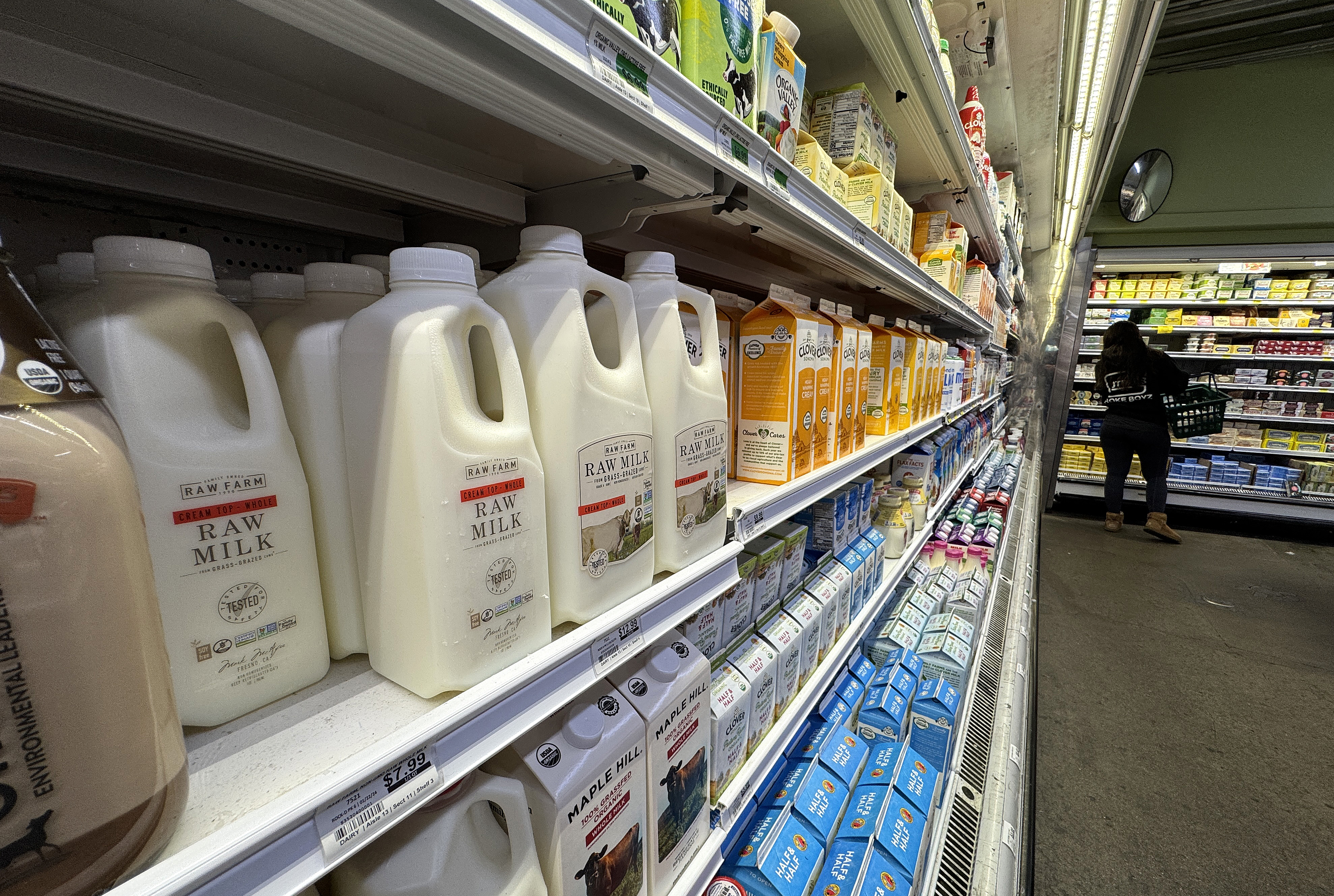 Controversial Raw Milk CEO Eyes FDA Role Amid Recall and Bird Flu Concerns