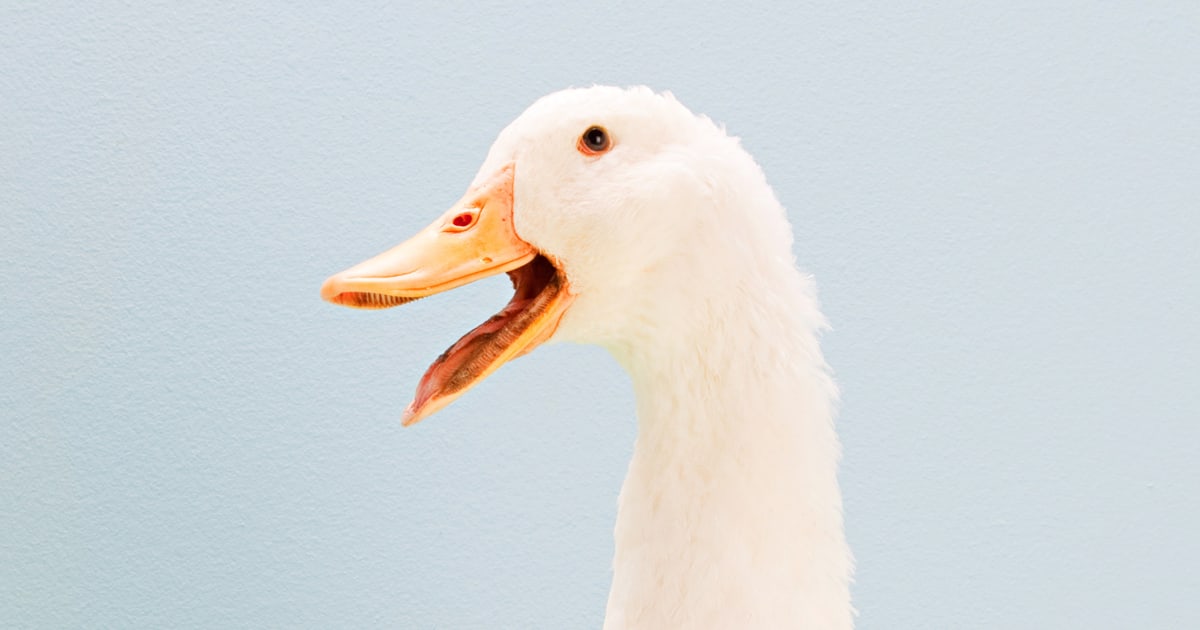 Featured image for Apple's AI-powered autocorrect fixes swearing on iPhone.