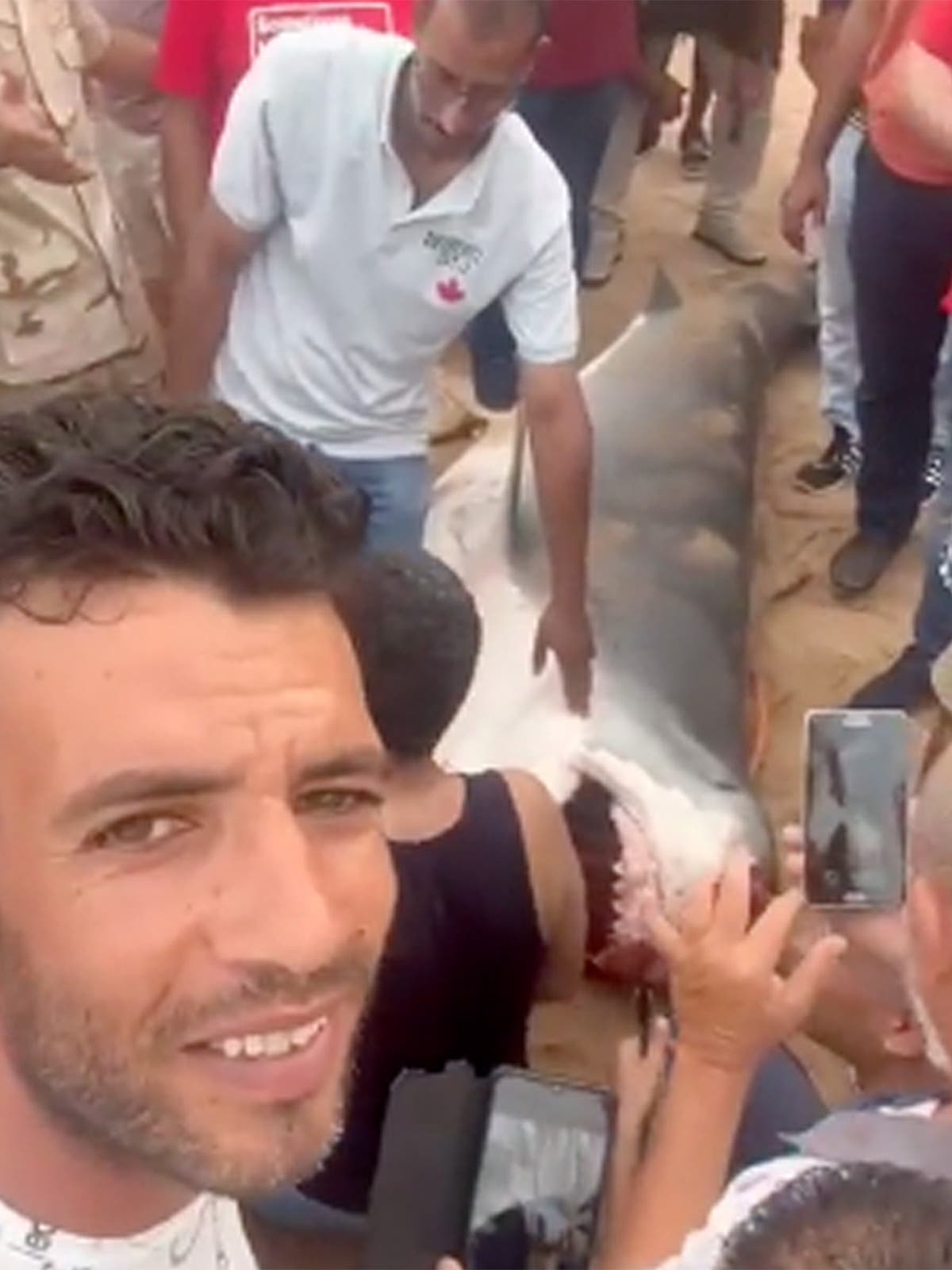Fatal Shark Attack at Egyptian Resort Leads to Retaliation and Tragedy.