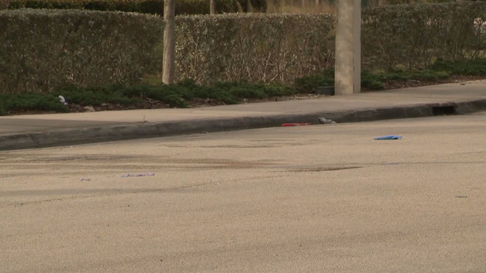 Fatal Shooting of Bills Fan Near Miami Stadium After Dolphins Game Sparks Investigation