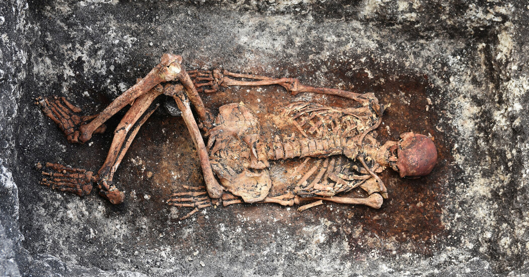 Featured image for Unearthing Ancient DNA: Insights for Modern Medicine