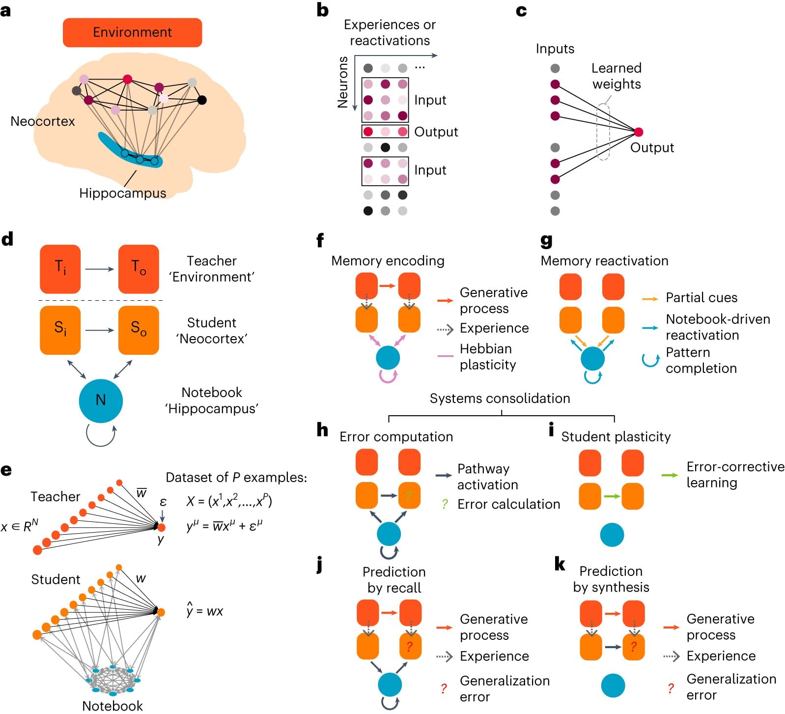 Featured image for Revolutionary Theory Unveils the Intricacies of Memory Storage in the Brain