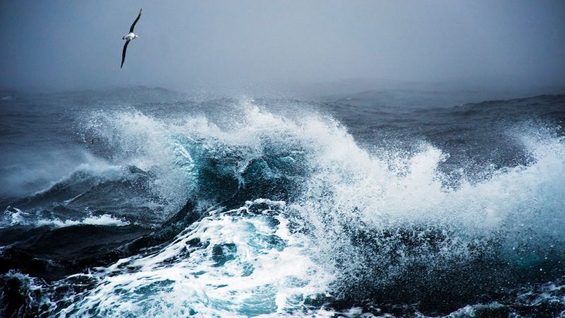 Featured image for "Thrilling Tales: Conquering the World's Most Terrifying Ocean Crossing"