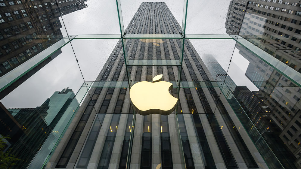 "Tech and Chip Stocks Drive Market Surge Despite Fed Warning"