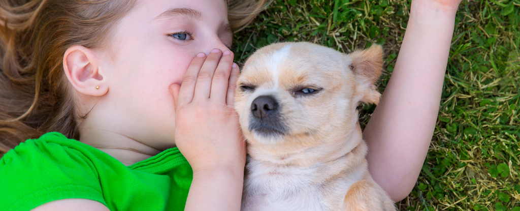 "Overcoming the Problem: AI's Potential to Facilitate Communication with Animals"