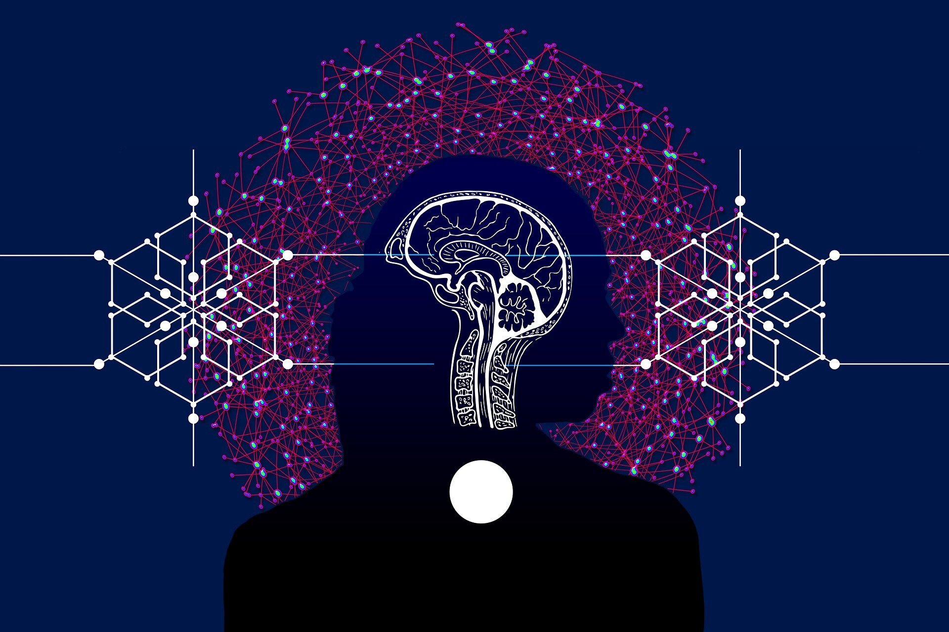 "AI Models Illuminate How Complex Sentences Activate the Brain's Language Network"