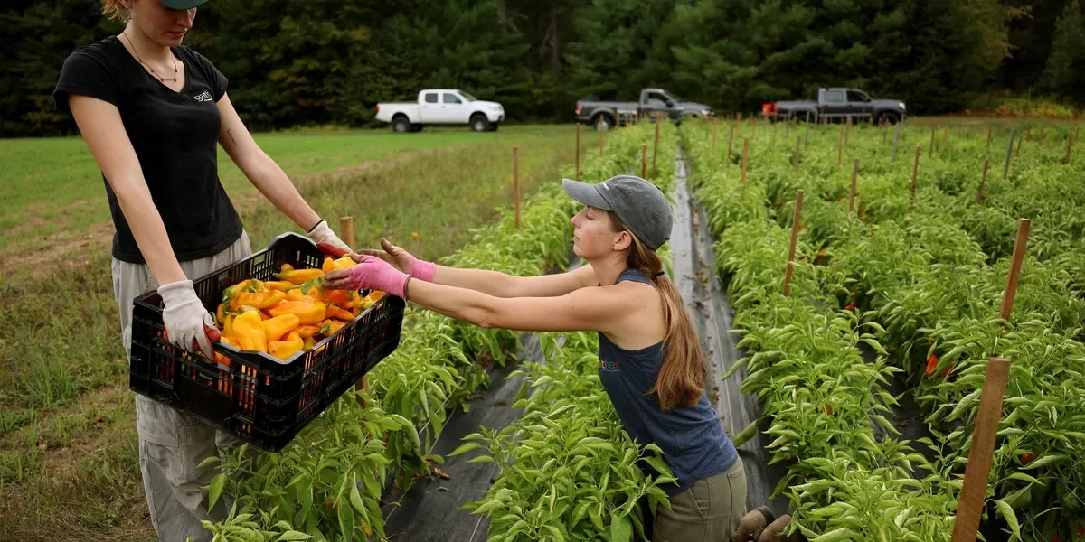 GOP Farm Bill Draws Fire as Industry-Backed Poison Pills, Critics Say