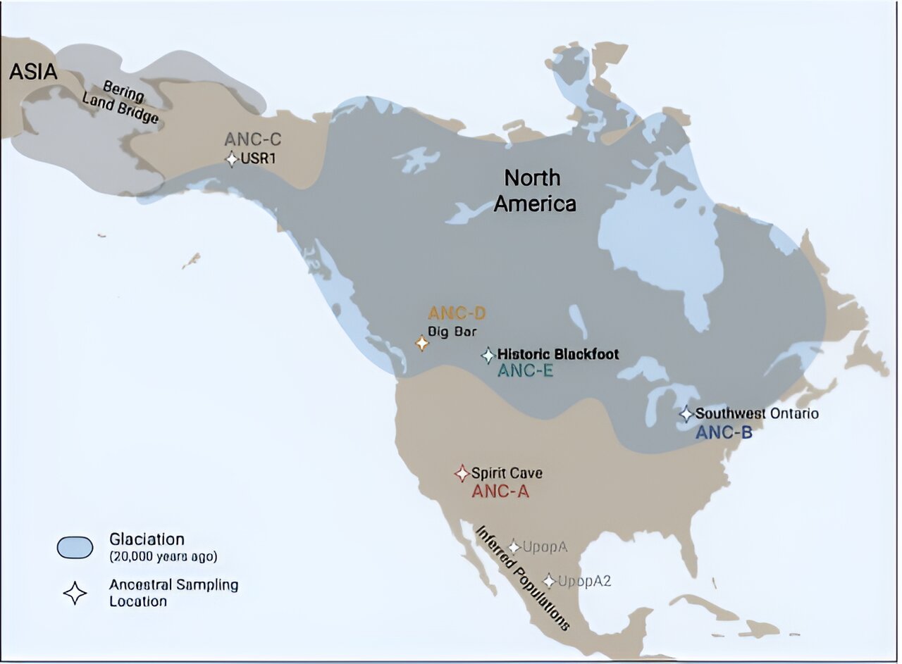 Featured image for "Uncovering the Origins of North America's Blackfoot Confederacy"