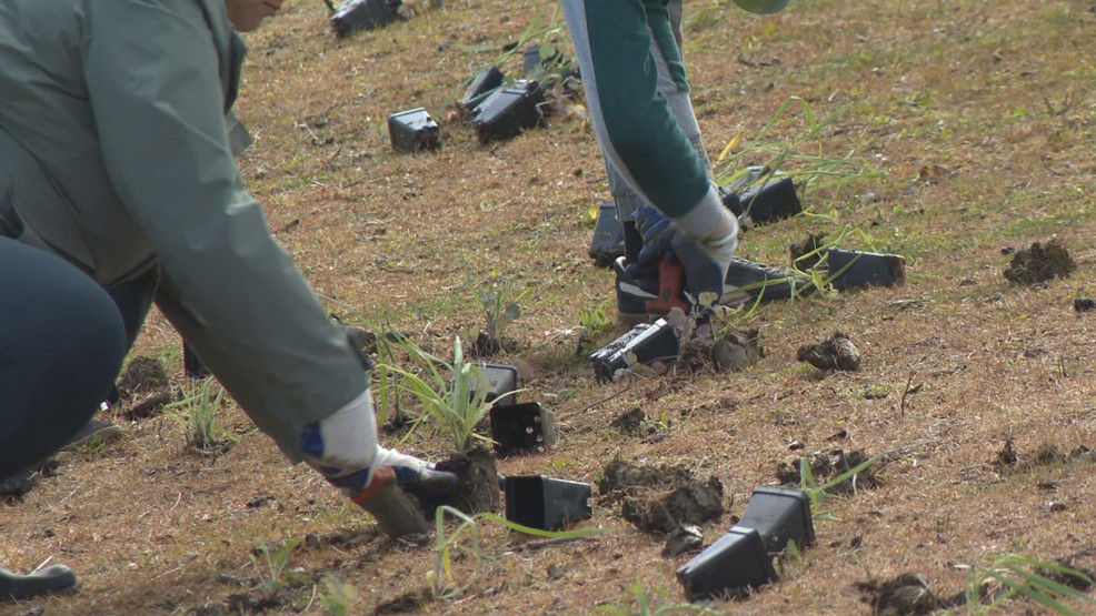 Featured image for Earth Day Celebrations Across the US