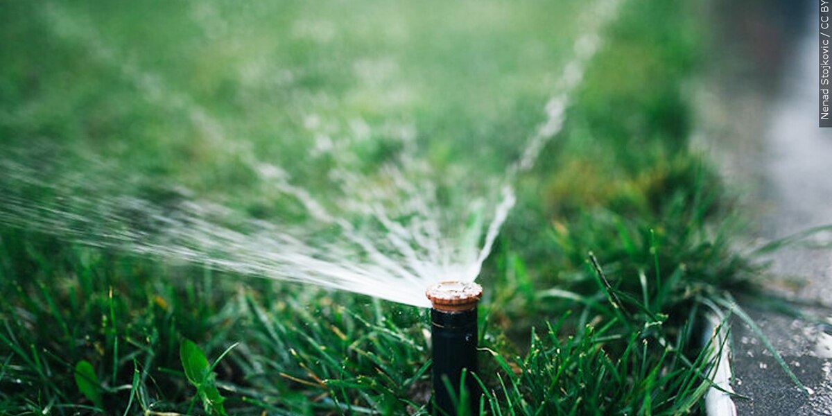 Scottsdale Implements Ban on Natural Grass in New Homes Starting August 15