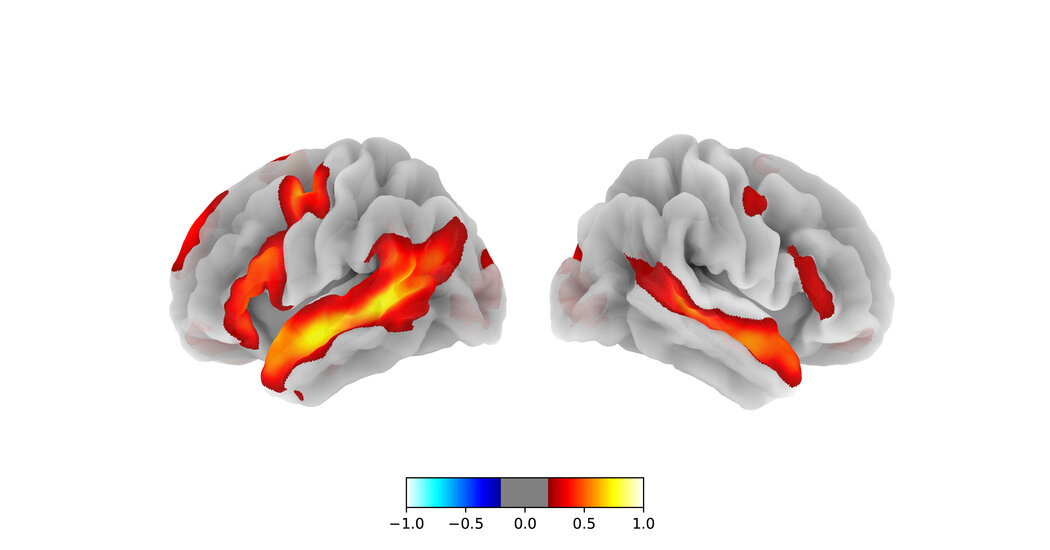 Featured image for "Neuroscientists Unveil Brain's Language and Thought Mechanisms"