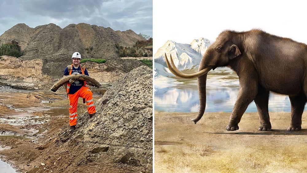Ancient mammoth tusk discovered in UK quarry