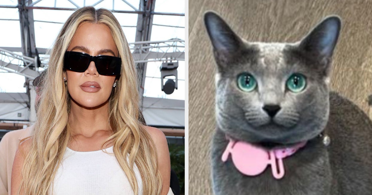 "Khloé Kardashian's Controversial Cat Photos: The Facetune Debate"