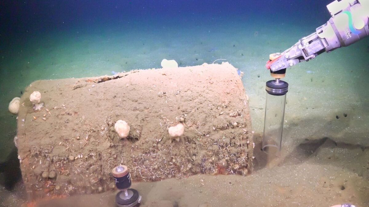 Featured image for Decades-Old Waste Barrels Off LA Coast Create Toxic Dead Zones and Mysterious Halos