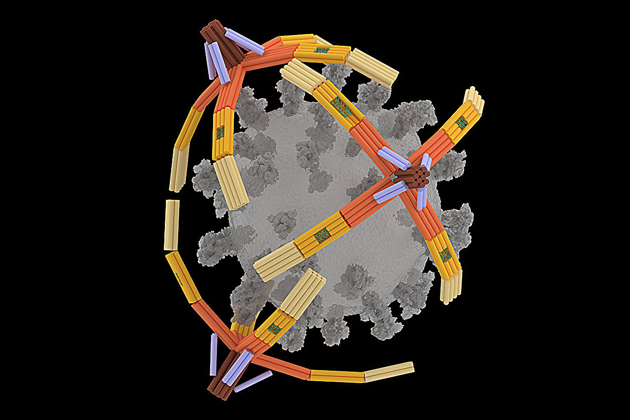 Featured image for DNA Nanorobot Hand Revolutionizes Virus Detection and Inhibition