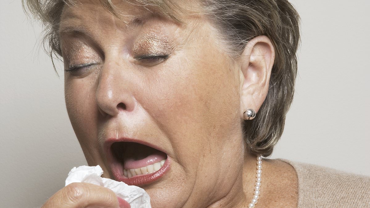 Featured image for "Rising Cases of Autumn Sneezing Syndrome: Hay Fever Experts on Alert"