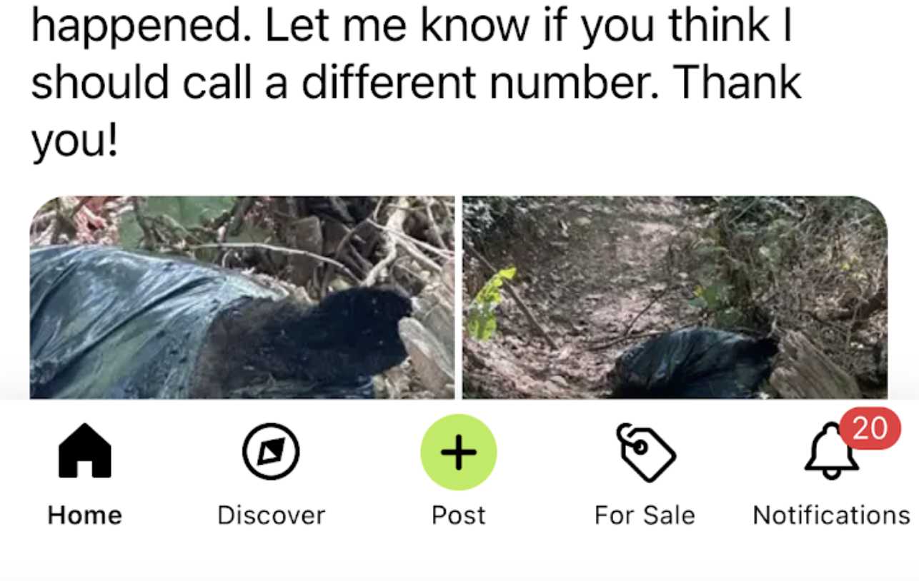 "Dead Bear Found in Bag on Arlington Trail, VDOT Contractor Blamed"