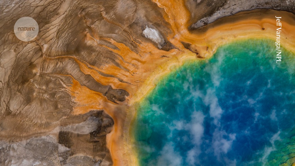 Featured image for "Unraveling Life's Origin: Finding Pieces of the Puzzle"