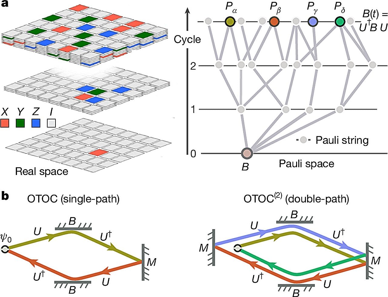 Featured image for Google's Quantum Echoes Algorithm Marks a Major Leap Toward Practical Quantum Computing