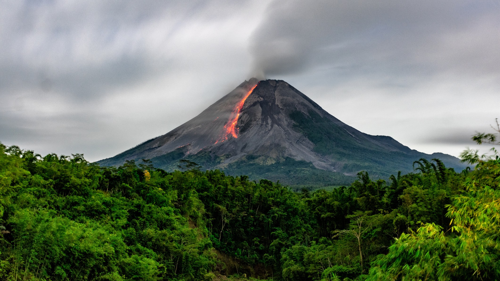 Featured image for Trees as Natural Early Warning Systems for Volcanic Eruptions