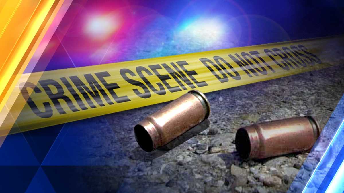 Multiple Fatal Shootings Reported in New Orleans Neighborhoods.