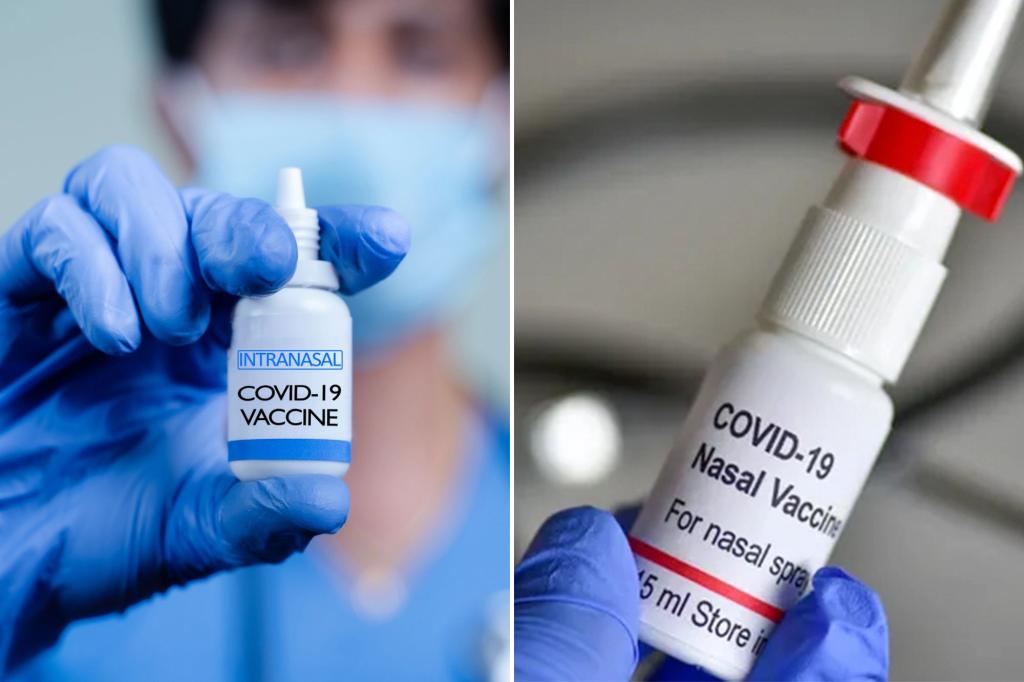 Nasal spray COVID vaccine proves effective in boosting immunity.