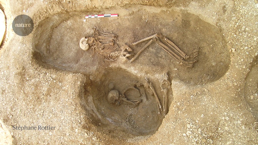 Featured image for Unraveling Prehistoric Lineage: Mapping Seven Generations with Ancient DNA