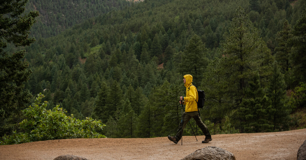 Featured image for Enhance Your Workout with Hiking Poles