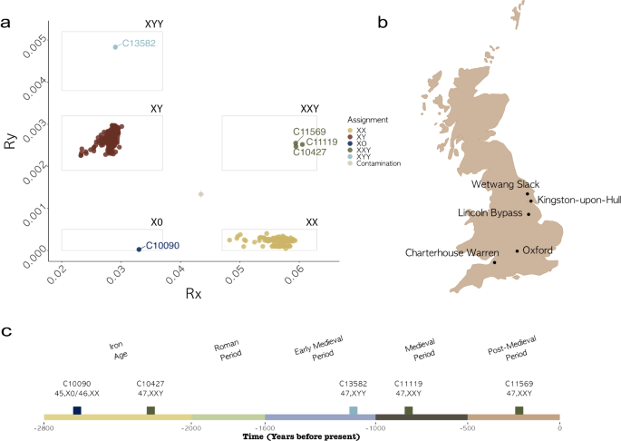 Featured image for "Identification of Turner Syndrome in Ancient Genomes"