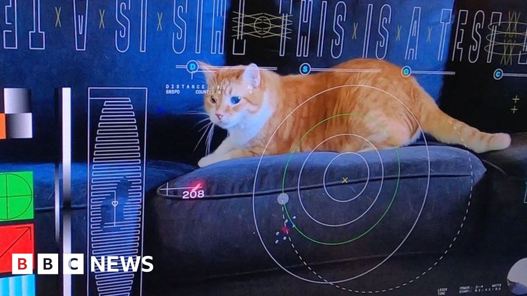 Featured image for NASA Sends Cat Video from Deep Space via Laser