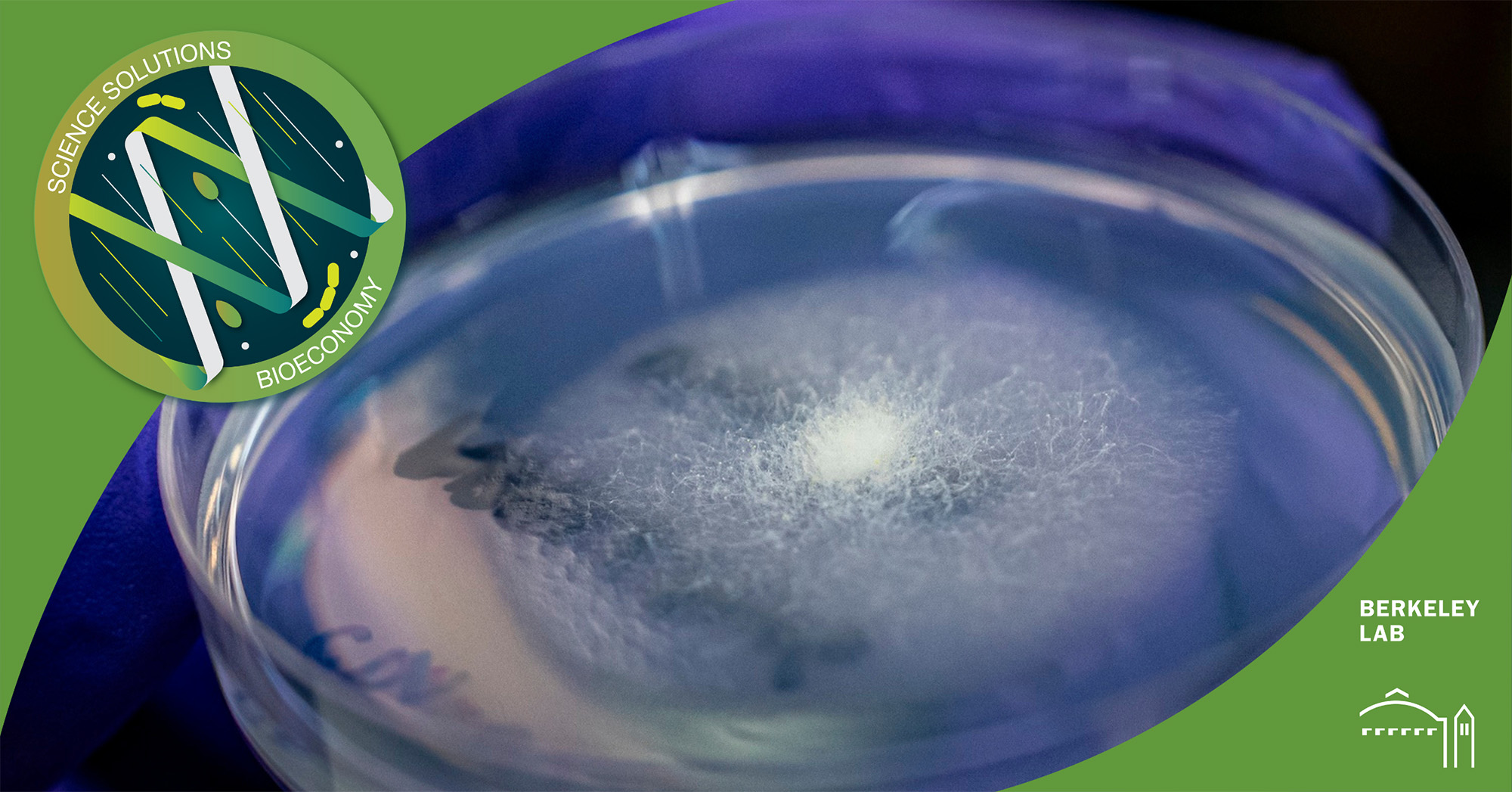 "Lab-Grown Mold: The Surprising New Meat Replacement"