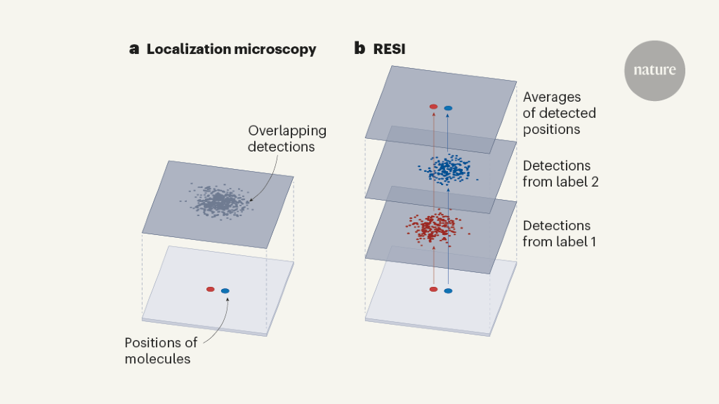 Featured image for Revolutionizing Microscopy: Ångström-Resolution with Tag Cocktails.