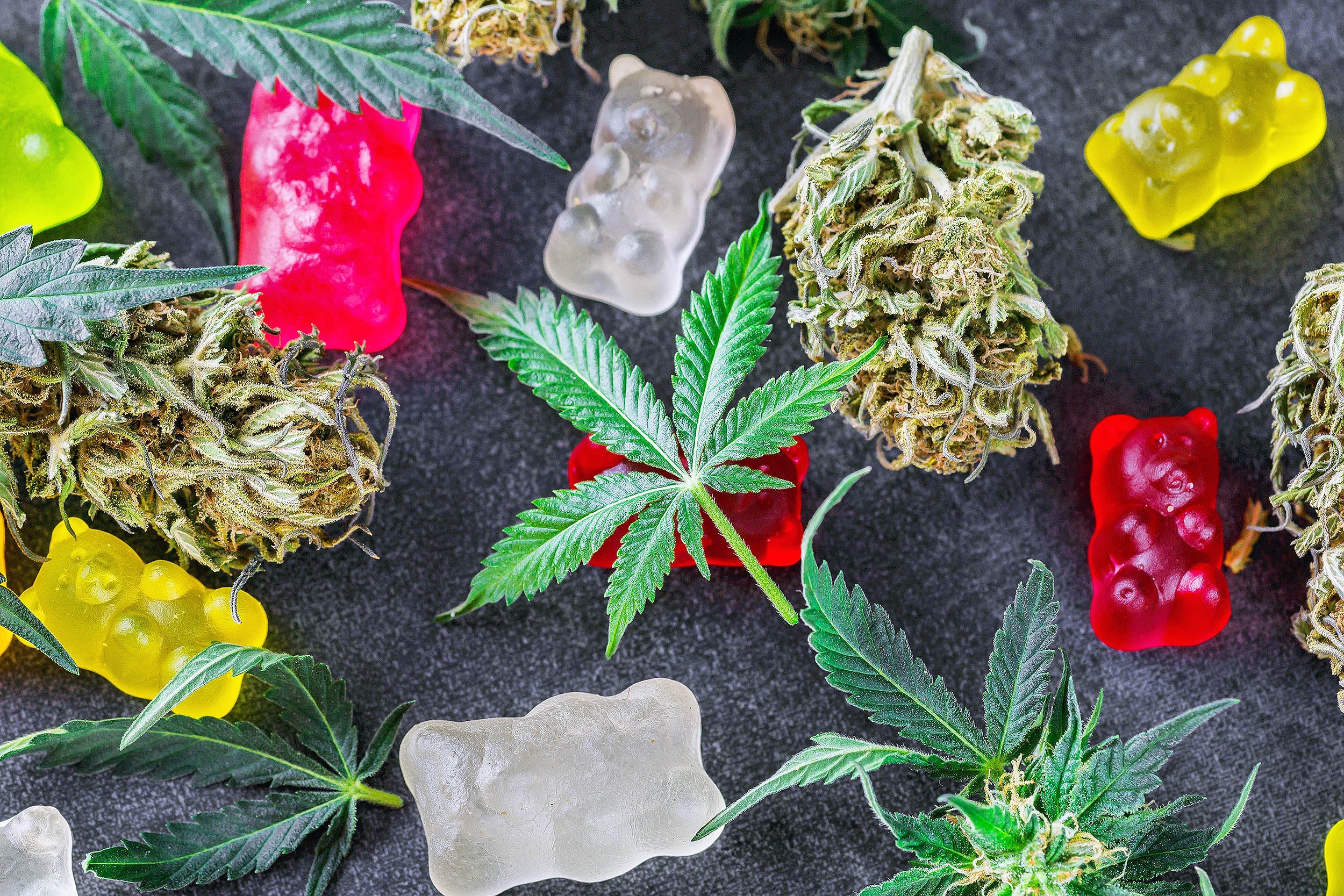 Featured image for New Study Links Cannabis Use to Increased Heart and Health Risks