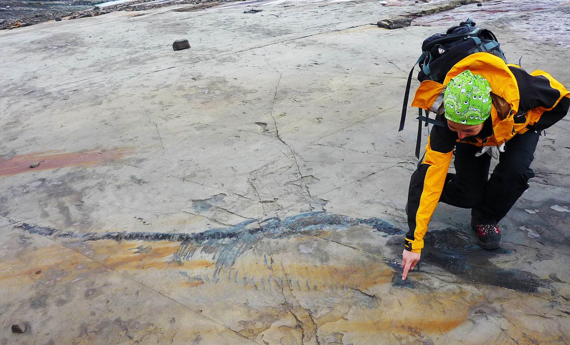 Featured image for Scientists Discover Pregnant Sea Reptile Fossil Unveiling Ocean Mysteries