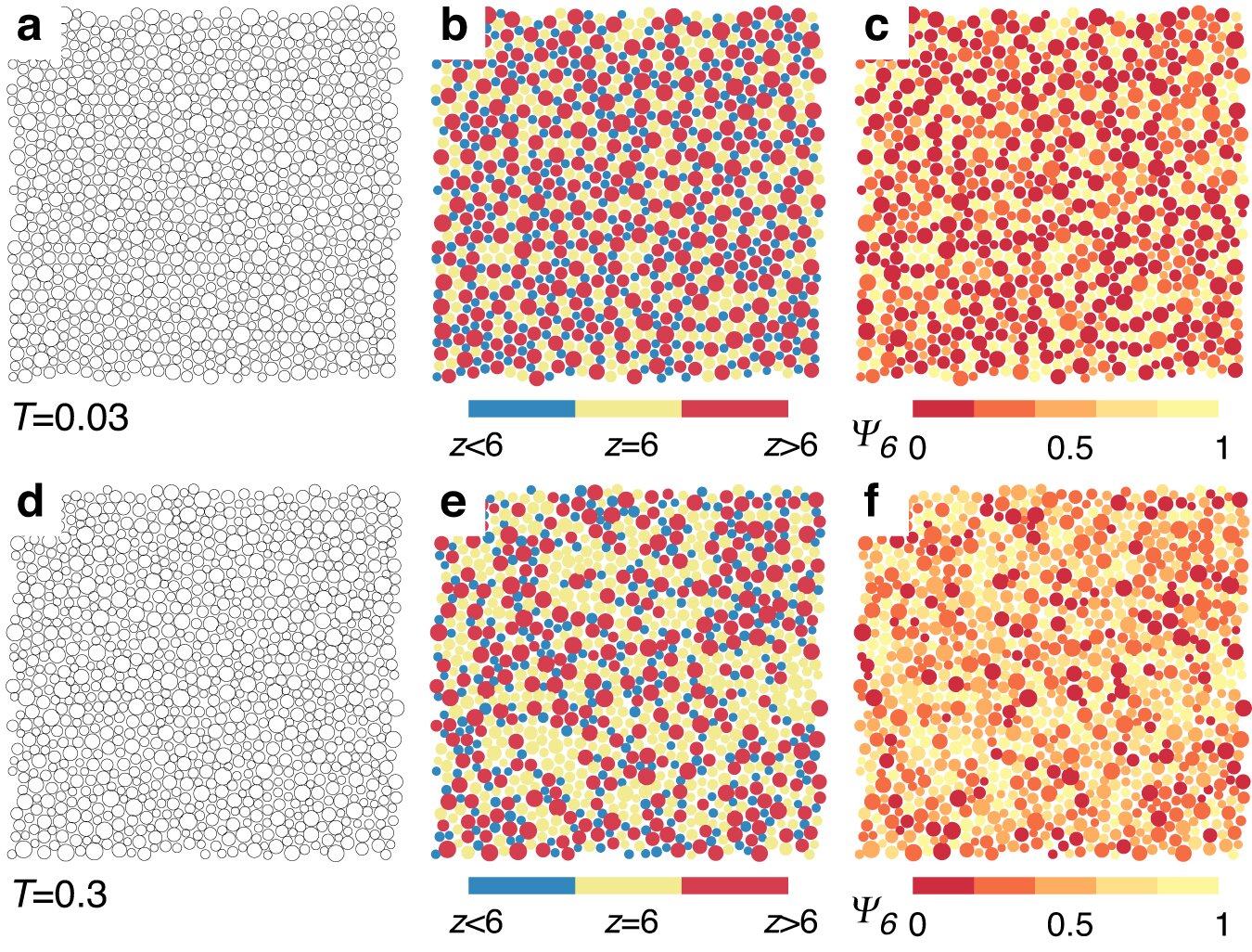 "Unveiling the Quest for the Elusive Ideal Glass State"