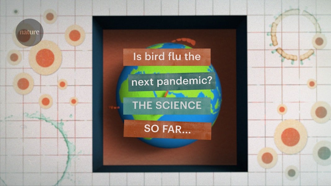 Featured image for Assessing the Pandemic Threat of Bird Flu and Its Resistance to Fever