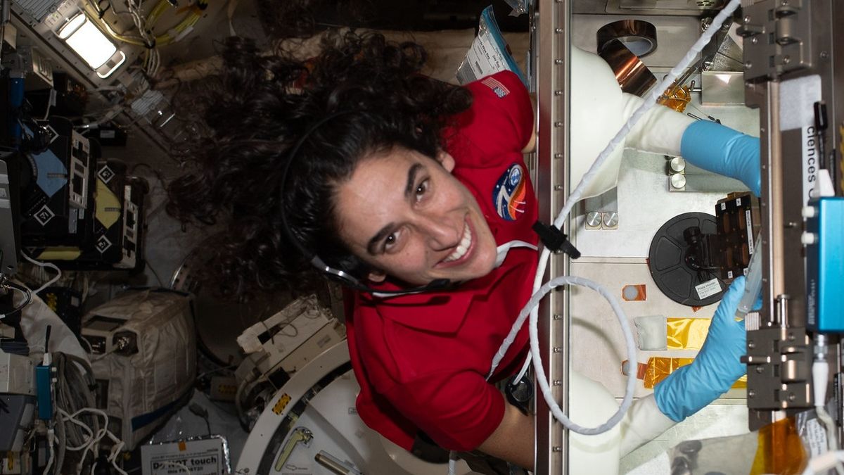 "Space-bound Astronaut Celebrates Hanukkah with Felt Menorah"